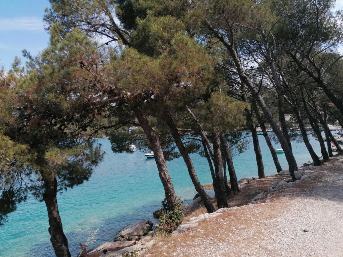 Villa Novamarin ドラゲ エクステリア 写真